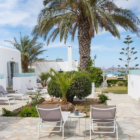 Navi B4 Brand New In Naousa